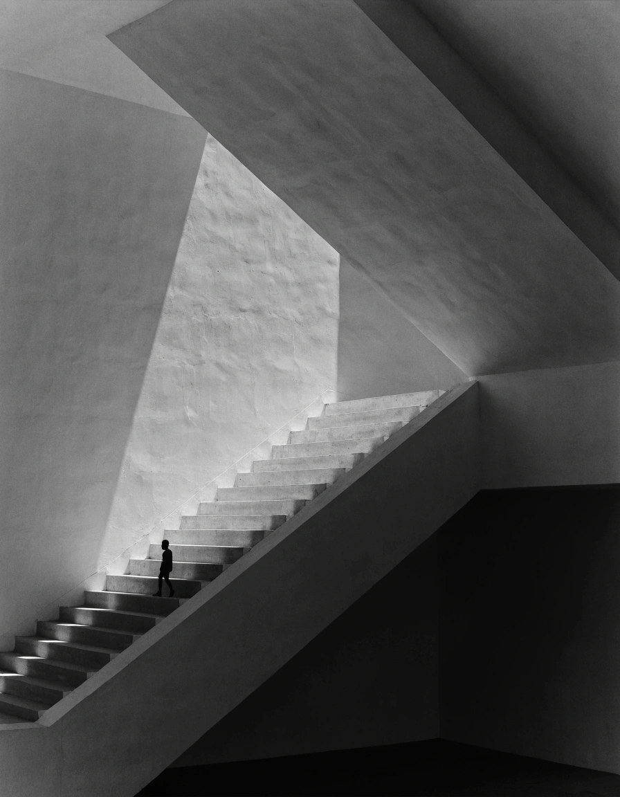 Into the Light — TPG-INT-027